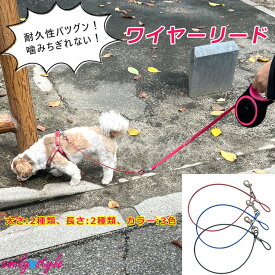 【噛み癖防止☆耐久性のあるワイヤーリード】 犬 ワイヤー リード 噛み癖 噛み防止 噛み切れない 強い 軽い 絡まない 噛みつき対策 軽量 ドッグ ペット ケーブル 事故防止 散歩 お出かけ 小型犬 中型犬 エミリースタイル emilystyle