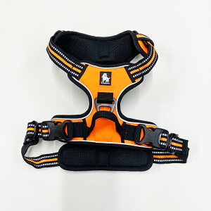 IV  JbRCC  \tgn[lXy S E M E L z ^ ^ ^  U p TRUELOVE   nht n[lX \tgpbh U o G~[X^C 