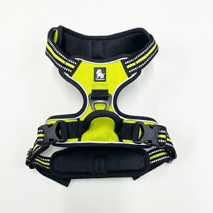 IV  JbRCC  \tgn[lXy S E M E L z ^ ^ ^  U p TRUELOVE   nht n[lX \tgpbh U o G~[X^C 