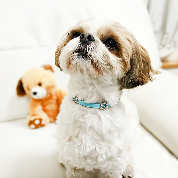 楽天市場】【特価】犬用首輪 ☆ お花 キラキラ ビジュー 首輪 【タイプ 