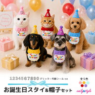 【グリッター年齢シール付】お誕生日スタイ＆帽子 バースデイスタイ ハッピーバースデー 記念日 年齢 お…