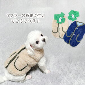 }t[̂܂t{AxXg ybg  hbOEFA EFA m {Af  AE^[  gbvX {^ Ȃ o U JWA Vv ̎q j