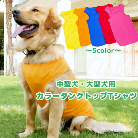 中型犬・大型犬 カラータンクトップTシャツ タンクトップ Tシャツ カラフル カジュアル ペット 犬 服 ドッグウェア ペットウェア 袖なし 薄手 オールシーズン ウェア 抜け毛対策 エミリースタイル emilystyle