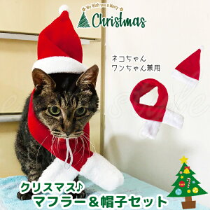 [NX}X  }t[  Xq Zbg Lp p Lp  j̎q ̎q CX^f RXv ߑ T^ NX}X G~[X^C emilystyle