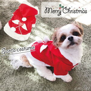 y̏Ic͂Iz[NX}X  T^ EFA Vg̉H T^ }g T^N[X  L j̎q ̎q RXv RX`[ CX^f ybg G~[X^C