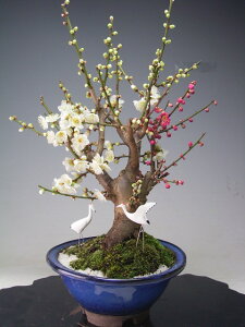 ~~́@ԉtIg~ij2025tJԁyEsz