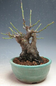 ~~́@ԉtId~i_tjyiz2026tJԗ\