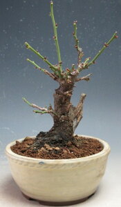 ~~́@ԉtId~@_tiԁEdjyiz2026tJԗ\