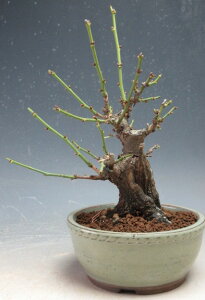 ~~́@ԉtId~ijiԁjyiz2026tJԗ\