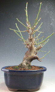 ~~́@ԉtId~ijiԁjyiz2026tJԗ\