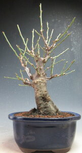 ~́@~ @ԉtId~@ijyiz2026tJԗ\