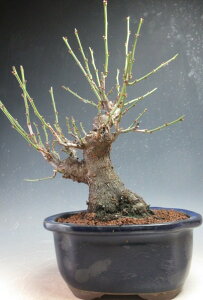 ~́@~@ԉtId~yiz2026tJԗ\