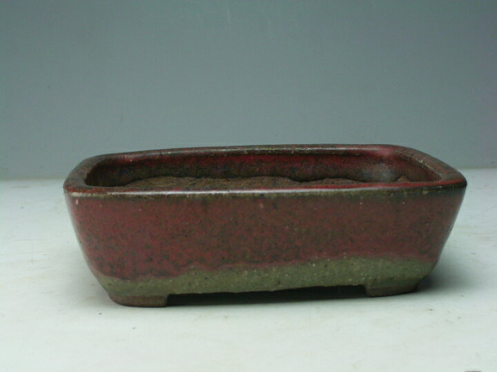 楽天市場】今岡町直 辰砂長方盆栽鉢 : 山野草と盆栽の専門店ヴェールモア