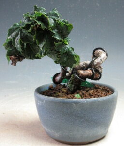 ~́@_/EWd^̃~j~́yiz