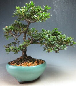 ~́@ԉtITcL/~}LV}i)yiz2026Jԗ\@