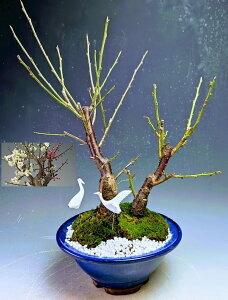 ~~́@ԉtIg~i{j2026tJ