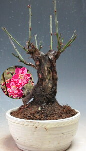 ~~́@ԉtIg璹(ZgԁEd炫j_tyiz2026tJԗ\