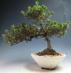 ~́@ԉtITcL/~}LV}ccWi߉jyiz2026tJԗ\i