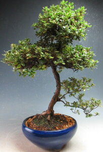 ~́@ԉtITcL/~}LV}ccWi߉jyiz2026tJԗ\