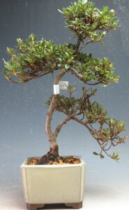 ~́@ԉtIHiTcLji̊ہjyiz2026tJԗ\