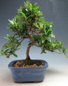 ~́@ԉtIHiTcLj~́iR) yiz2026tJԗ\