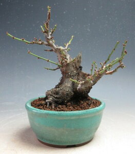 ~~́@ԉtId~iԁEdjijyiz2025tJԗ\