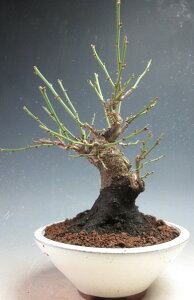 ~~́@ԉtId~ijyiz2026tJԗ\