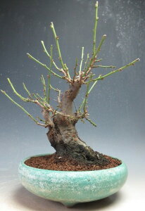 ~~́@ԉtId~ijiԁjyiz2026tJԗ\