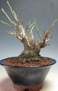 ~~́@ԉtId~i_tjyiz2026tJԗ\