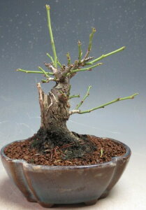 ~~́@ԉtId~i_tjyiz2026tJԗ\