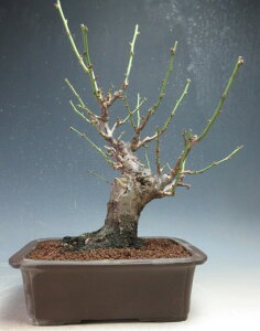 ~~́@ԉtId~ijyiz2026tJԗ\