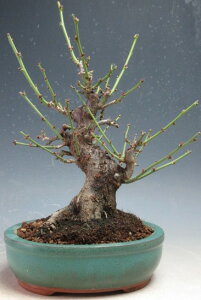 ~~́@ԉtId~yiz2026tJԗ\