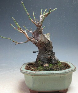 ~~́@ԉtId~@ijyiz2026tJԗ\