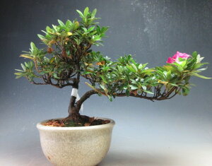 ~́@ԉtIHiTcLj~́i) yiz2026tJԗ\