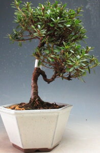 ~́@ԉtIHiTcLj~́iu) yiz2026tJԗ\