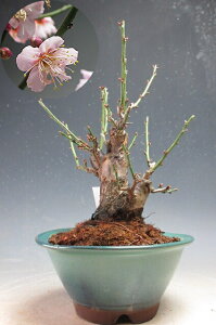 炫~~́@ԉtIg~idEsNjyiz2026tJԗ\yEsz