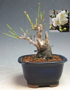 ~~́@ԉtId~i_tjyiz2026tJԗ\