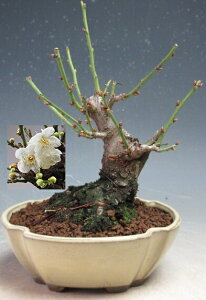 ~~́@ԉtId~i_tjyiz2026tJԗ\