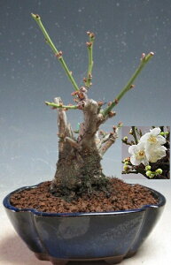 ~~́@ ԉtId~i_tjyiz2026tJԗ\