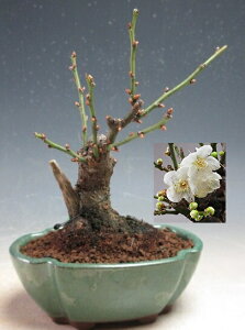 ~~́@ԉtId~(_tjyiz2026tJԗ\