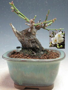 ~~́@ԉtId~yiz2026tJԗ\