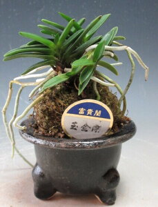 Miʋj̔Ay@zyizykCEEsz