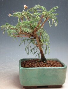 ~́@ԉtIl̔A@2025JԒyiz