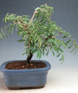 ~́@ԉtIl̔A@2025JԒyiz