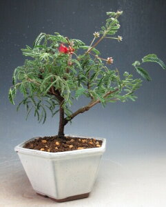 ~́@ԉtIl̔A@2025JԒyEkCEsz