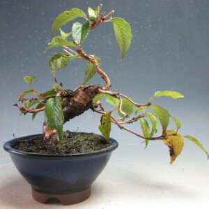 ~́@@ԉtI\@yiz2025~Jԗ\