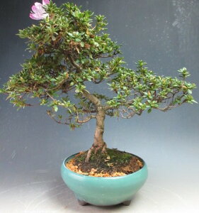 ԉtIHiTcLj/~}LV}@~́ijyiz2026tJԗ\