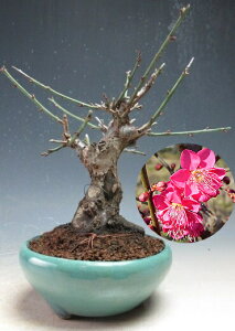 ~~́@ԉtIg璹(ZgԁEd炫jyiz2026tJԗ\