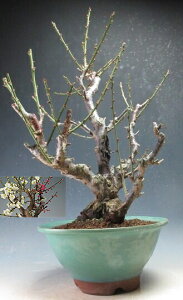 ~~́@ԉtIg~ijijyizyEsz2026tJԗ\