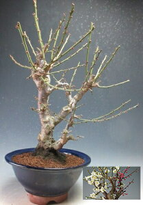 ~~́@ԉtIg~ijyizyEsz2026tJԗ\